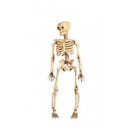 Sac vintage Strip&eacute; &agrave; la main